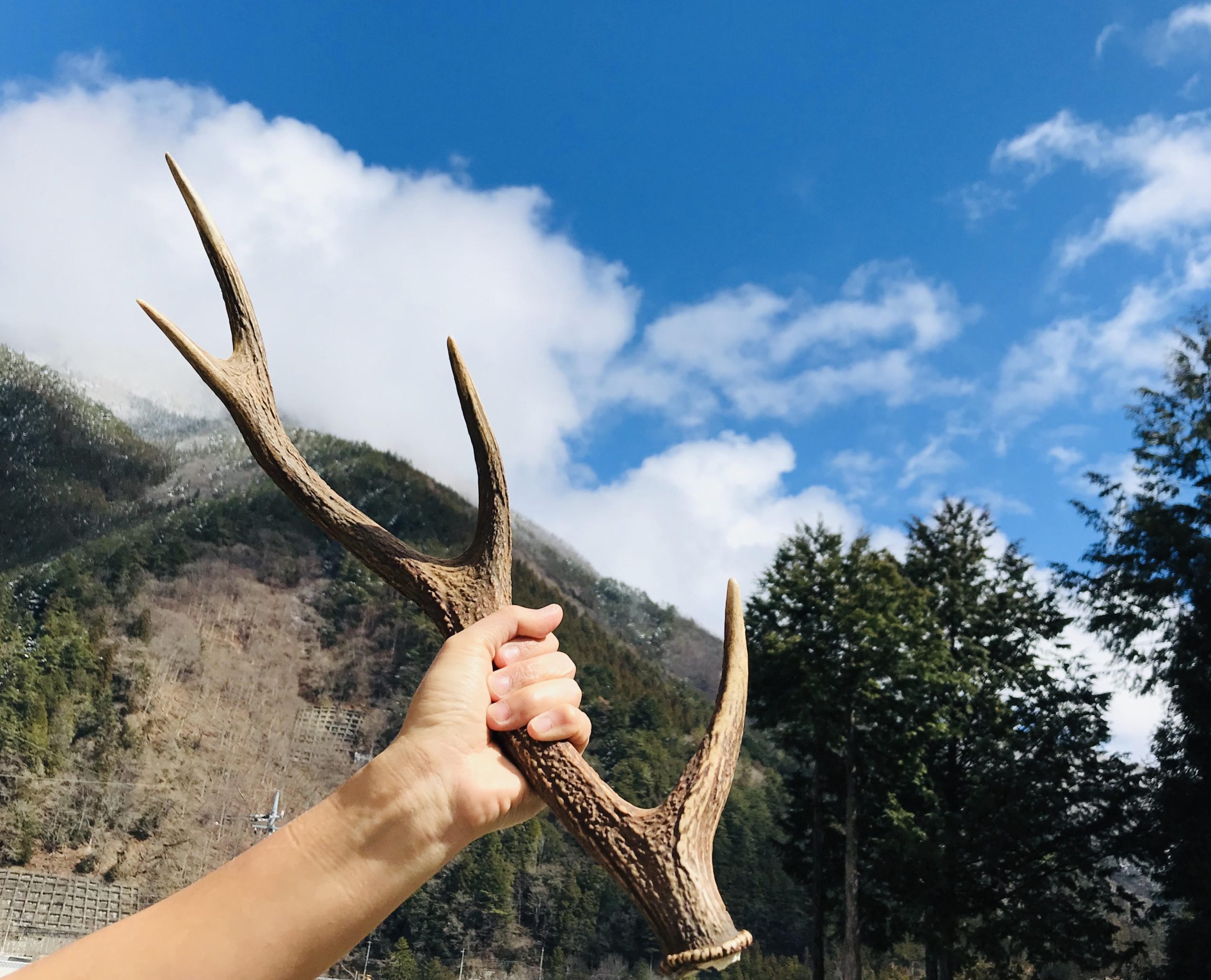 リクルート | 山梨県丹波山村で狩猟を学ぶ。丹波山村狩猟学校
